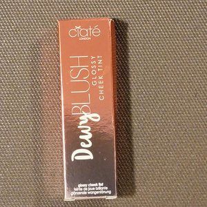 Dewey blush glossy cheek tint Papaya